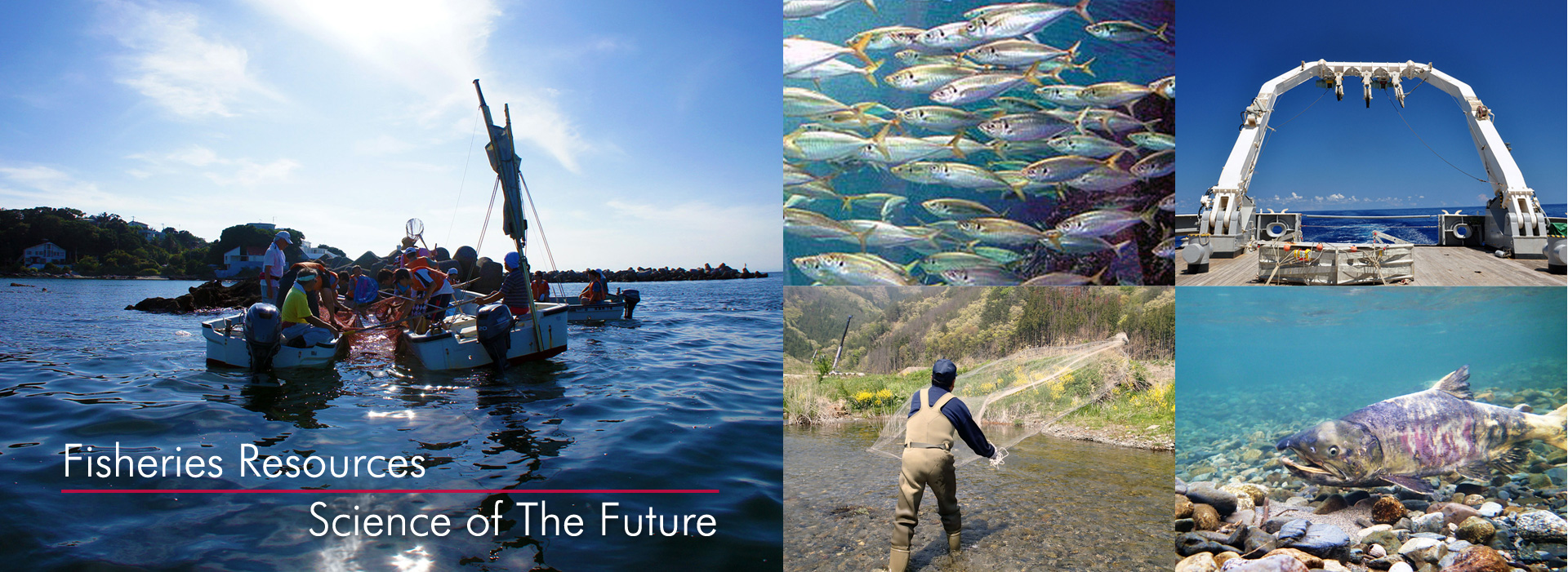 Fisheries Resources / Future of the Science