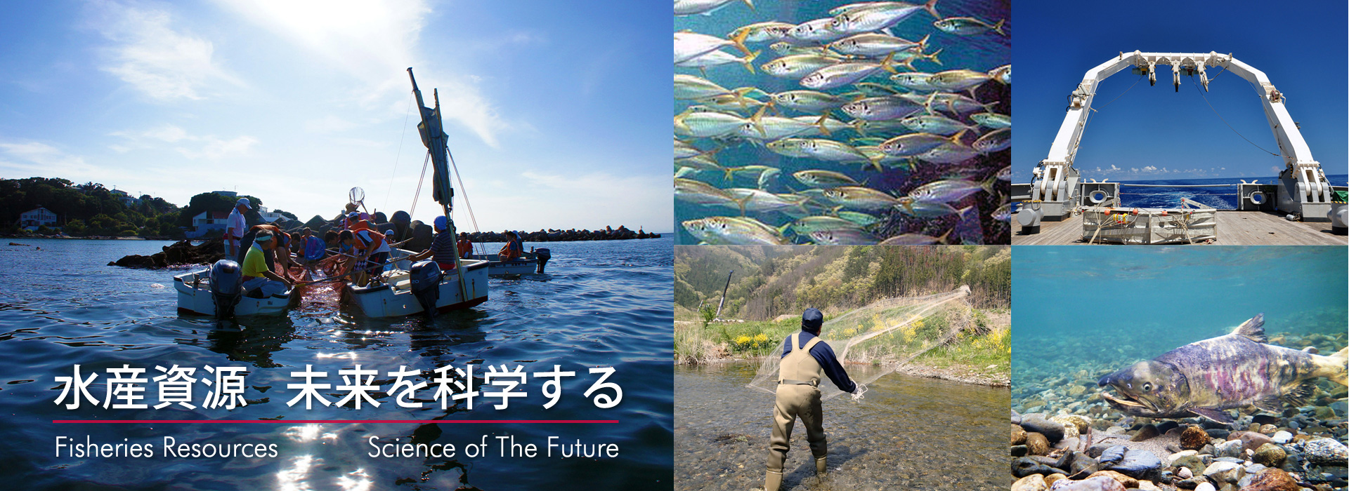 水産資源　未来を科学する Fisheries Resources Science of The Future